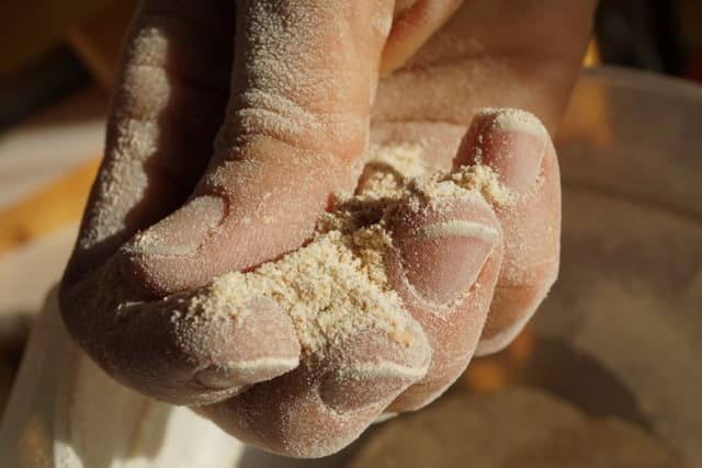 Fresh Stone Milled Wheat Flour
